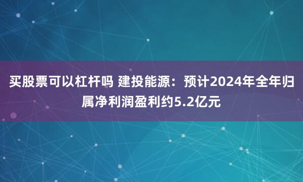 买股票可以杠杆吗 建投能源：预计2024年全年归属净利润盈利约5.2亿元