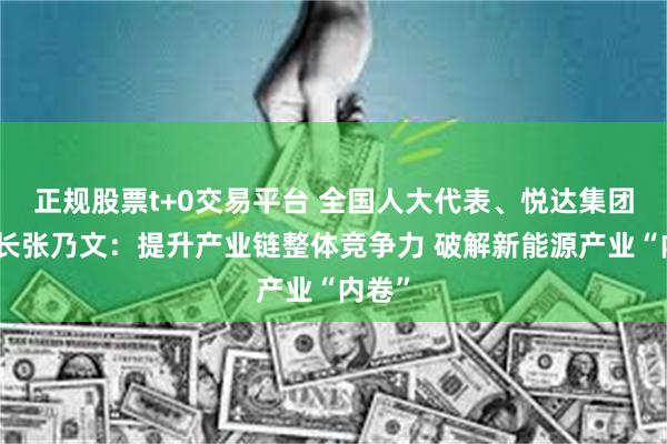 正规股票t+0交易平台 全国人大代表、悦达集团董事长张乃文：提升产业链整体竞争力 破解新能源产业“内卷”